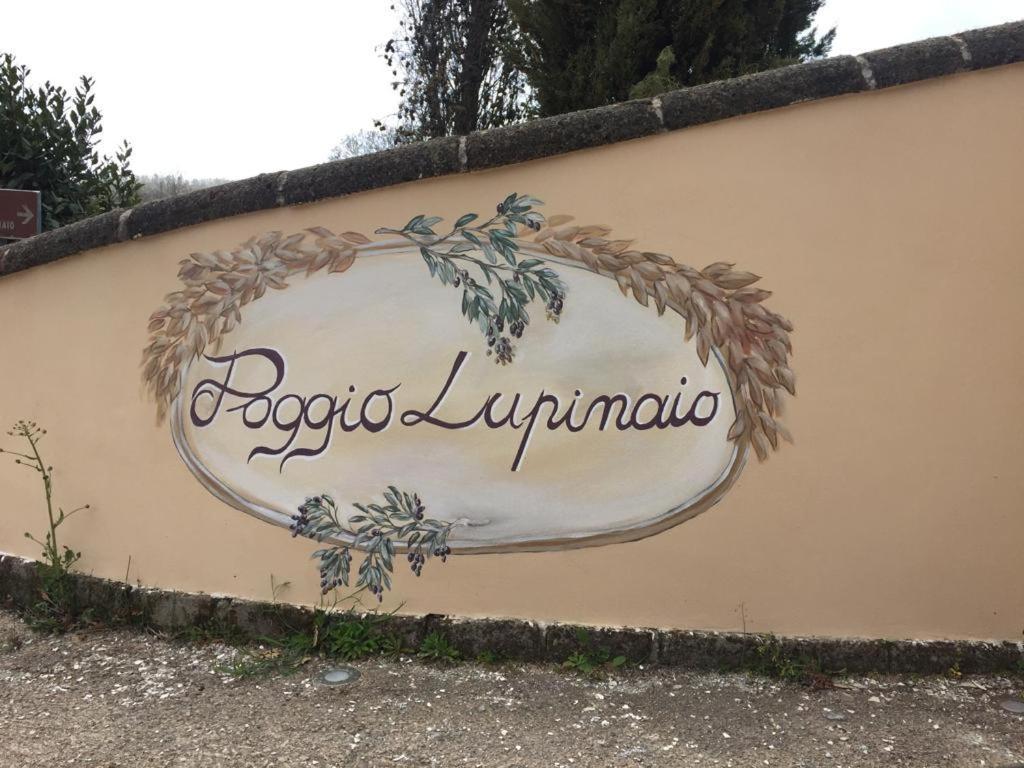 Podere Poggio Lupinaio San Martino sul Fiora Eksteriør billede