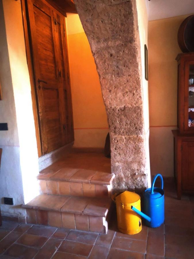 Podere Poggio Lupinaio San Martino sul Fiora Eksteriør billede